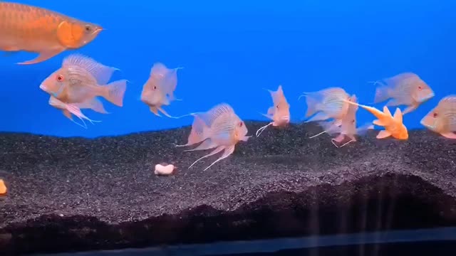 143427x7kx57tmhlx22h77.jpg 143427x7kx57tmhlx22h77.jpg