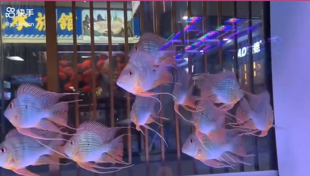 QQ20250312-122014.png QQ20250312-122014.png
