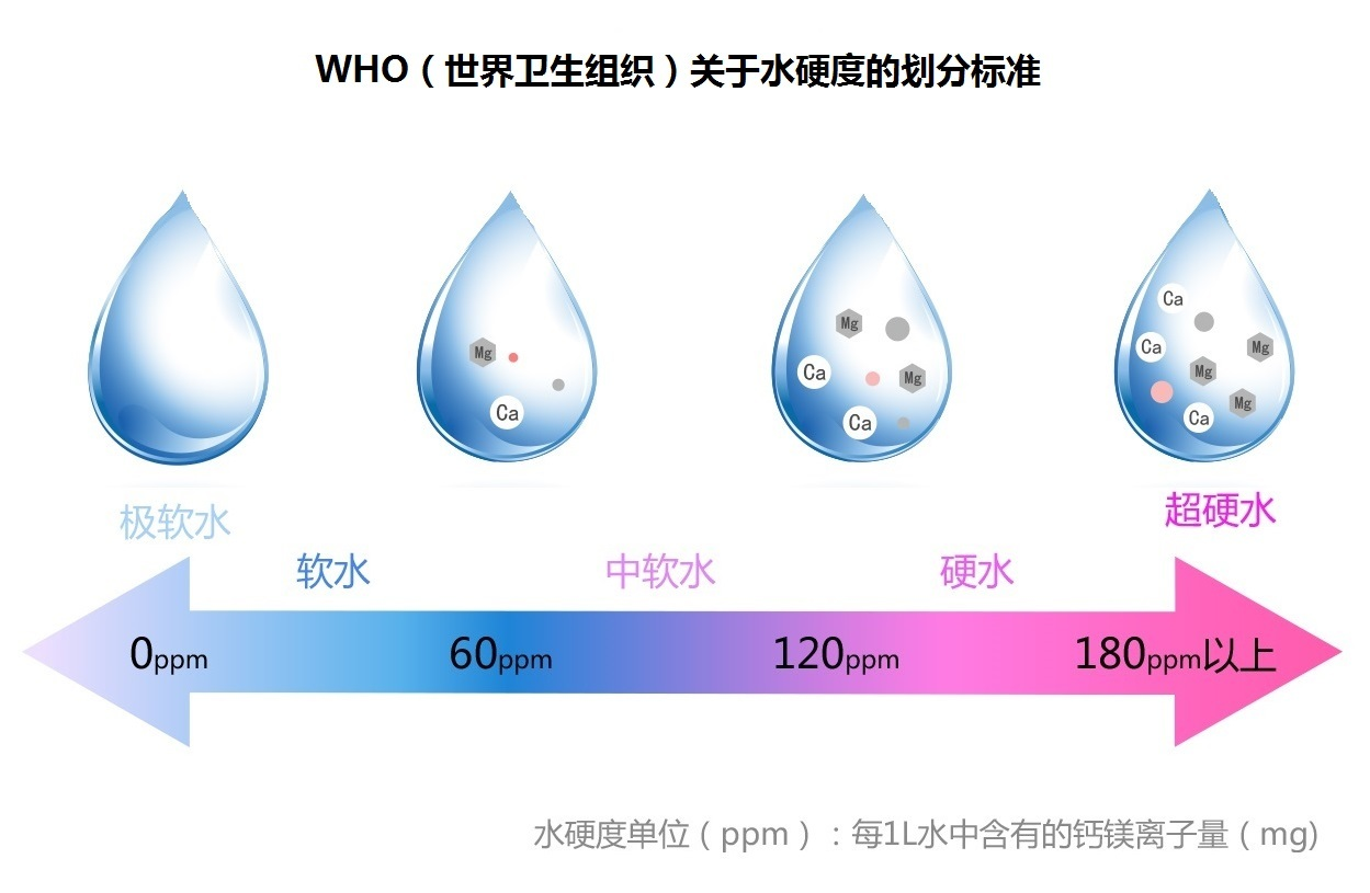 10-19條魚的吉祥寓意，從十全十美到長長久久，10-19條魚的吉祥寓意解析，從十全十美到長長久久的象征密碼