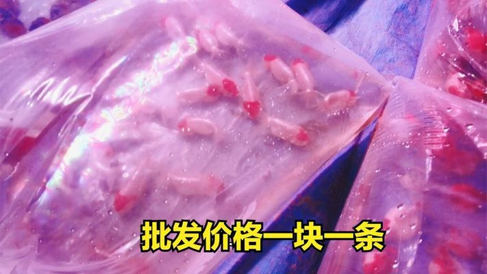 十大養(yǎng)殖淡水魚排名，產(chǎn)量高、效益好的熱門品種解析，十大高產(chǎn)高效淡水養(yǎng)殖魚種排名及市場前景分析 十大養(yǎng)殖淡水魚排名，產(chǎn)量高、效益好的熱門品種解析，十大高產(chǎn)高效淡水養(yǎng)殖魚種排名及市場前景分析 龍魚百科 第2張