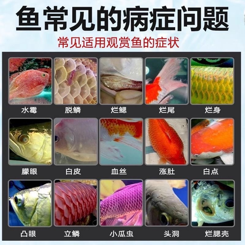 龍頭最佳方向風(fēng)水講解：龍頭最佳方向，引領(lǐng)行業(yè)風(fēng)向，共繪發(fā)展藍(lán)圖