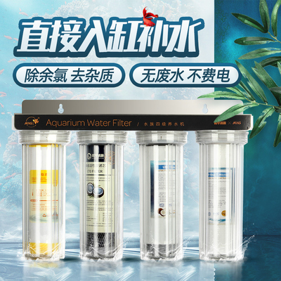 1～9條魚吉祥寓意：九條魚為何要人命，探尋背后的真相 1～9條魚吉祥寓意：九條魚為何要人命，探尋背后的真相 龍魚百科 第2張