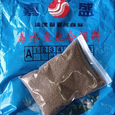 魚全部照片，探索水下世界的視覺盛宴，水下奇觀，魚群世界的視覺盛宴