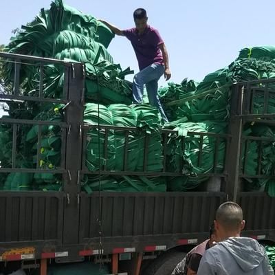 龍魚最貴品種排行榜：龍魚最貴品種排行，探秘水族界的奢華瑰寶