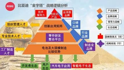 天使魚莫名其妙死亡原因是什么：探尋天使魚莫名其妙死亡背后的隱秘真相