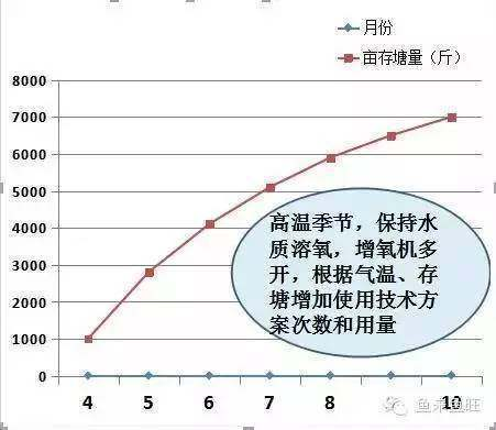 魚擺件一般人不敢用飯店：魚擺件，神秘寓意下的別樣考量