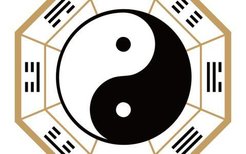 家中養(yǎng)魚養(yǎng)幾條最好，風(fēng)水與科學(xué)的完美結(jié)合，家中養(yǎng)魚的最佳數(shù)量，風(fēng)水講究與科學(xué)依據(jù)的完美平衡