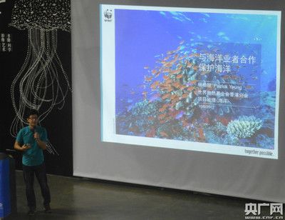 家里一般養什么魚最好？新手養魚指南，新手必看，家庭養魚推薦與入門指南
