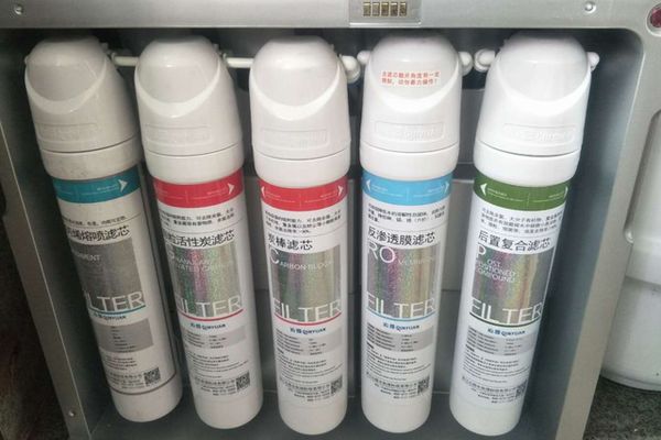 養魚新手需要注意什么？全面指南助你輕松入門，養魚新手必看，從零開始的全面入門指南