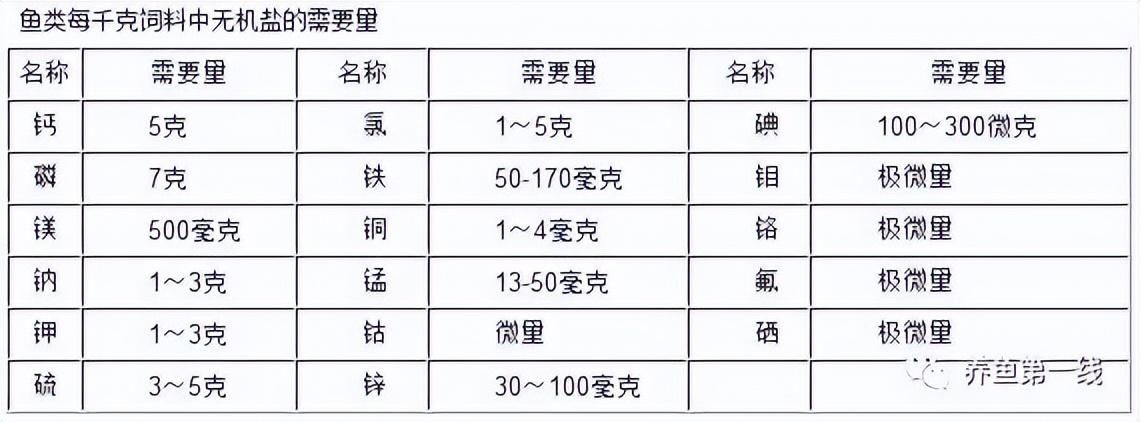 九條魚在風水中的寓意，招財納福與和諧之道，九魚風水，招財納福的吉祥寓意與和諧之道