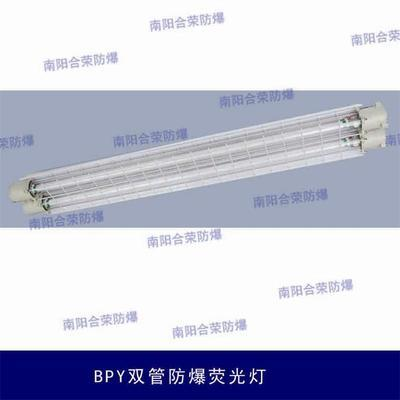 為什么說龍魚是風水魚呢：龍魚，風水魚背后的神秘文化密碼