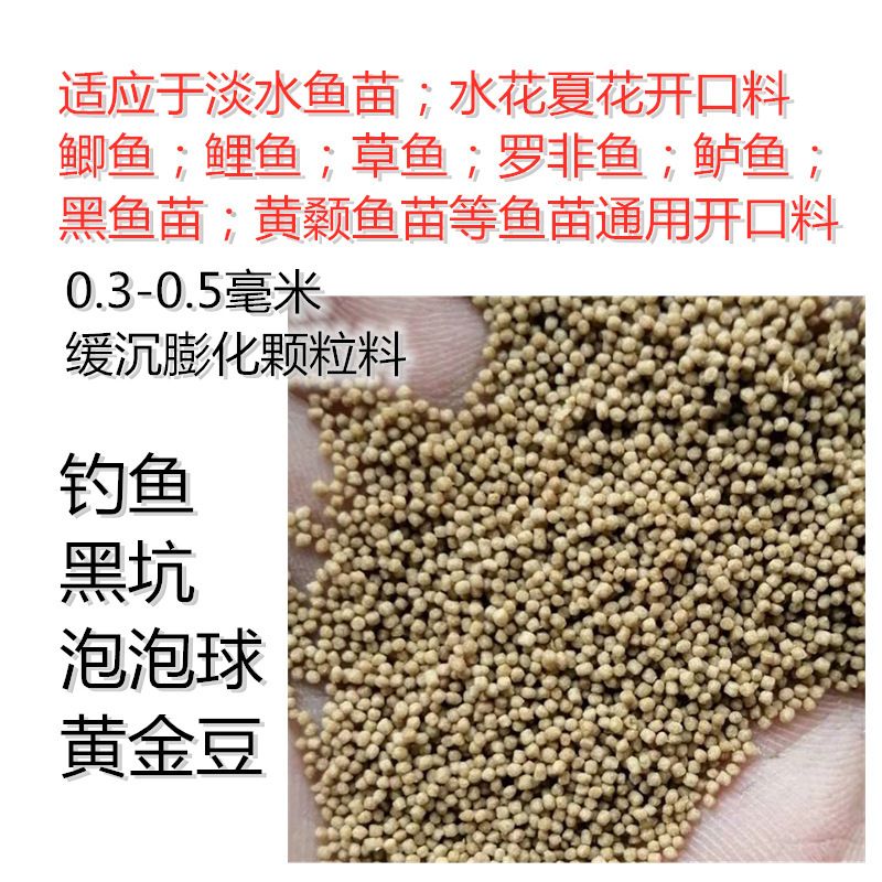 一般養魚幾條吉利風水好：一般養魚幾條吉利