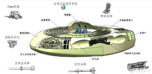 家里為什么不能隨便養魚：為什么不建議家里養魚，從生活實際到情感考量的多維度解析