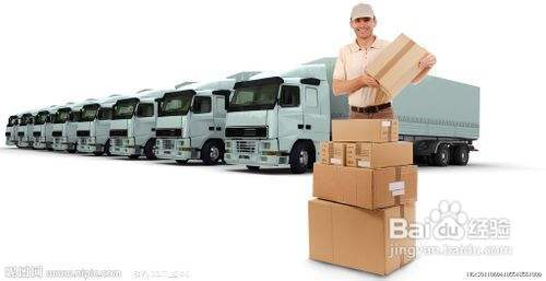 龍魚的棲息偏好，靜水與動(dòng)水環(huán)境全解析，靜水還是動(dòng)水？龍魚棲息環(huán)境偏好深度解析