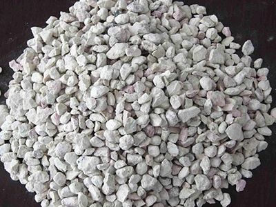 龍魚吃泥鰍的正確方法視頻：龍魚吃泥鰍的正確投喂之道 龍魚吃泥鰍的正確方法視頻：龍魚吃泥鰍的正確投喂之道 龍魚百科 第3張