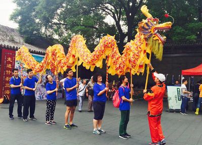 魚(yú)龍，史前海洋中的霸主與演化奇跡，魚(yú)龍，史前海洋霸主的演化奇跡