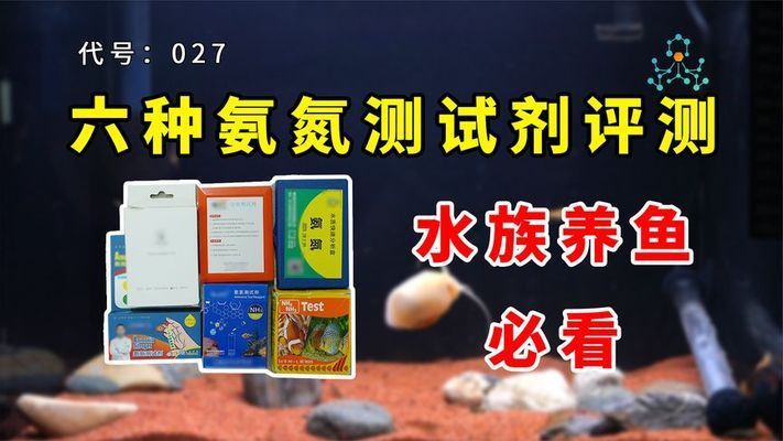 養龍魚十句口訣龍魚放身怎么回事：養龍魚十句口訣，助你開啟龍魚養殖成功之路