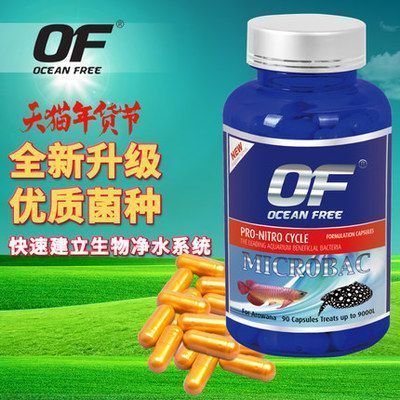 水花魚苗一個月能長多大？養殖技巧與生長速度解析，水花魚苗一個月能長多大？養殖技巧與生長速度解析