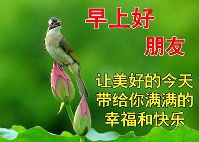 那種龍魚最貴：探秘天價(jià)龍魚，哪一種榮登最貴寶座？