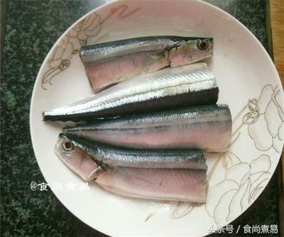 五種人不宜養魚：養魚對家宅的多重益處，美化環境與心靈的棲息地