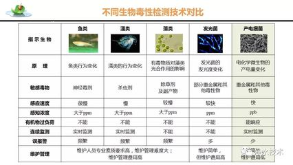 四條魚的寓意，吉祥還是禁忌？，四條魚的寓意，吉祥象征還是風水禁忌？