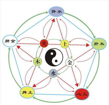 家里養(yǎng)龍魚的風水講究與飼養(yǎng)指南，從選缸到喂食的全方位解析，龍魚飼養(yǎng)全攻略，從風水布局到喂食技巧的完整指南