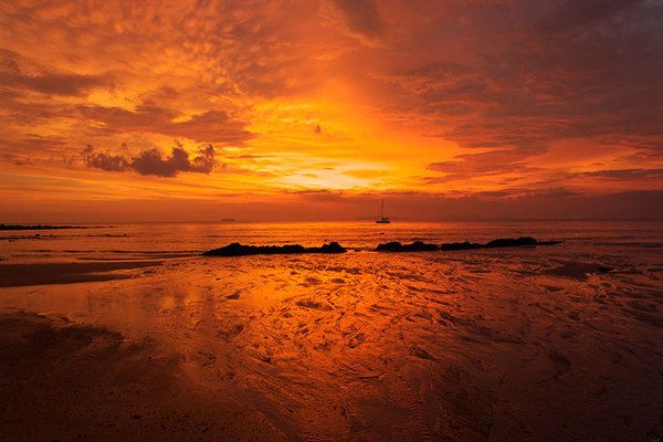 曼龍魚可以冷水養嗎？全面解析曼龍魚的飼養環境要求，曼龍魚適合冷水飼養嗎？詳解其最佳飼養環境條件