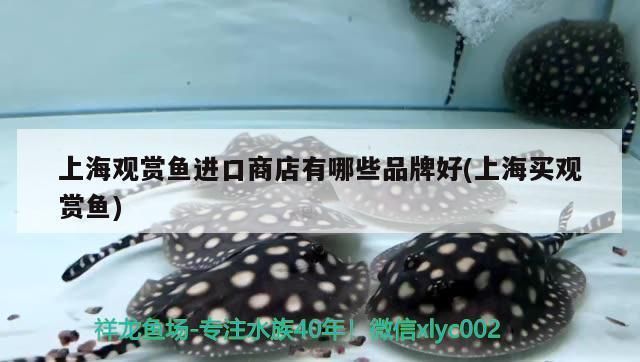 2023年最火的養殖項目，哪些行業正在爆發？，2023年最火爆的養殖業風口，這5大行業正爆發式增長！