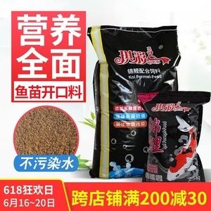 擺龍龜一般人鎮不住，神秘風水靈獸的深層寓意與使用禁忌，鎮不住的神秘風水靈獸，擺龍龜的深層寓意與使用禁忌解析