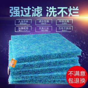 龍睛魚是兇魚還是吉魚？從風(fēng)水、文化與科學(xué)的多維解析，龍睛魚，風(fēng)水吉祥物還是兇煞之兆？文化、科學(xué)與養(yǎng)魚禁忌全解析