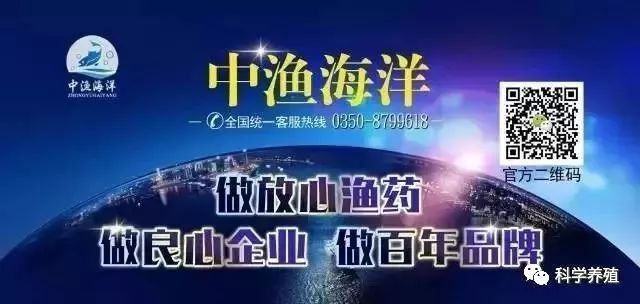 鴻雁魚龍成文，從自然意象到文化符號的演變，鴻雁魚龍，從自然意象到文化符號的演變歷程
