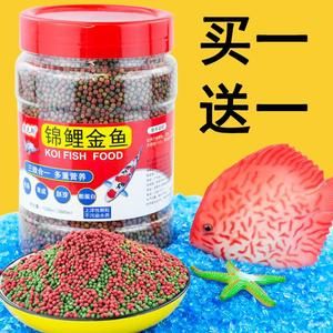 銀龍魚一般人養(yǎng)不了，揭秘這種水中貴族的飼養(yǎng)難度，揭秘銀龍魚飼養(yǎng)難度，為何被稱為‘水中貴族’？