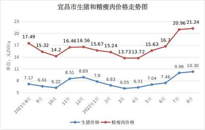 龍魚鎮宅最厲害的地方，風水靈獸的守護之力，龍魚鎮宅，風水靈獸的頂級守護之力解析