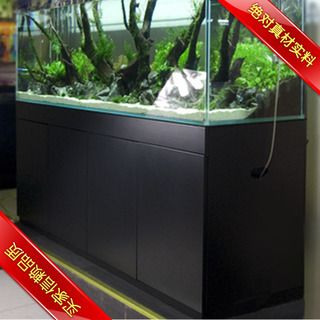 三間魚(yú)為何被禁魚(yú)，生態(tài)入侵與物種保護(hù)的警示，三間魚(yú)被禁背后的生態(tài)警示，物種入侵與保護(hù)之辯