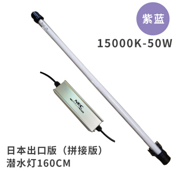 中名貴龍魚，水中貴族的魅力與養殖之道，名貴龍魚，水中貴族的魅力與養殖全攻略