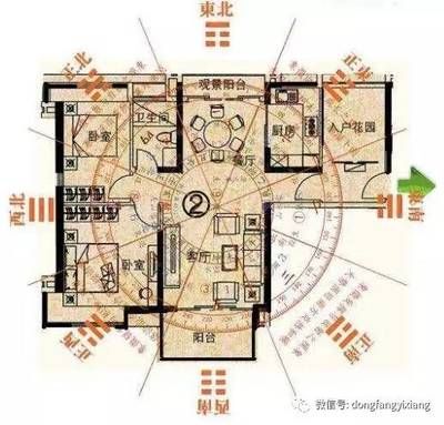 金龍魚(yú)苗2-5厘米批發(fā)，選購(gòu)、養(yǎng)殖與市場(chǎng)前景分析，金龍魚(yú)苗（2-5厘米）批發(fā)指南，選購(gòu)技巧、養(yǎng)殖要點(diǎn)與市場(chǎng)前景解析