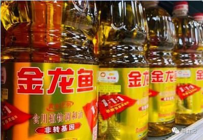 金龍魚幾個品種區別，關于金龍魚不同品種及其特點的信息
