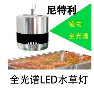 龍魚 筒燈，如何選擇適合的龍魚筒燈