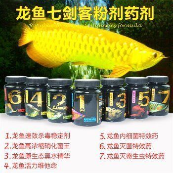養龍魚必備藥劑有哪些種類：養龍魚必備的藥劑