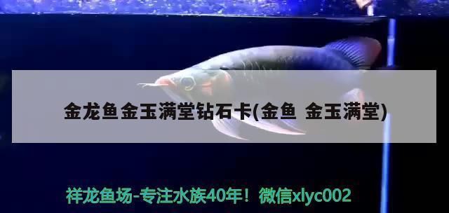 金龍魚鉆石卡過期了還能用嗎，金龍魚鉆石卡一旦過期不再具備原有的優(yōu)惠和特權功能