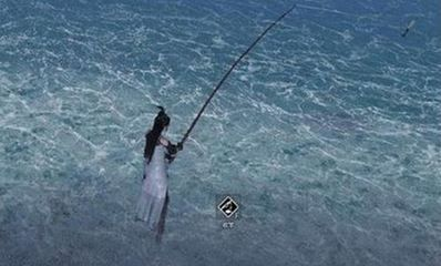 金龍魚用什么釣在哪里釣，金龍魚釣法技巧