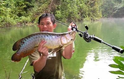 金龍魚用什么釣在哪里釣，金龍魚釣法技巧