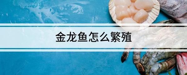 金龍魚喂什么食物促進性成熟快，金龍魚的性成熟期的喂食方法和喂食方法和喂食方法 金龍魚喂什么食物促進性成熟快，金龍魚的性成熟期的喂食方法和喂食方法和喂食方法 龍魚百科 第4張