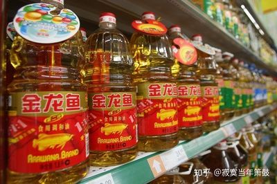 金龍魚很貴嗎值得買嗎知乎，1.5公斤的金龍魚，每克單價120元，比黃金還貴