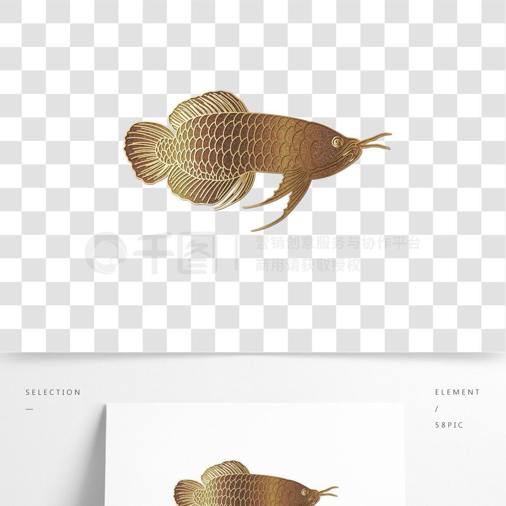 金龍魚線稿，金龍魚線稿創(chuàng)作靈感
