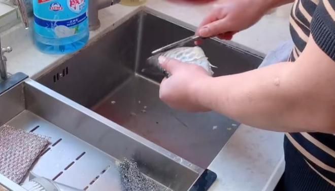 石家莊市民吃金龍魚，石家莊市民“吃金龍魚”可以指兩種截然不同的情況