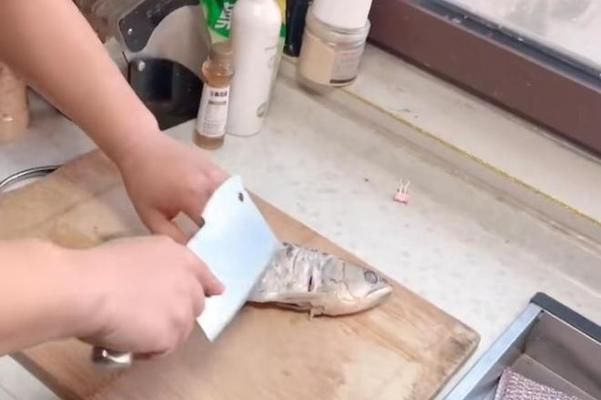 石家莊市民吃金龍魚，石家莊市民“吃金龍魚”可以指兩種截然不同的情況