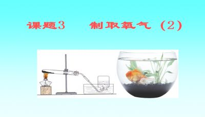 龍魚缸牌子bz（佳寶魚缸防干燒功能介紹閩江水族免換水技術解析）