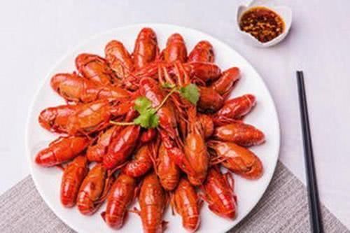 龍魚(yú)吃蝦有什么好處（龍魚(yú)吃蝦對(duì)它們有很多好處）