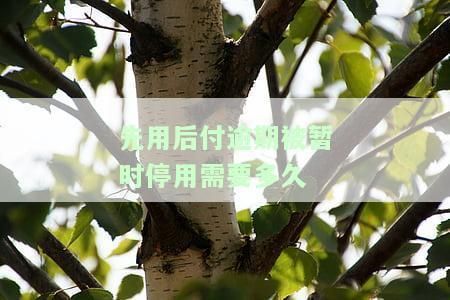 龍魚e卡先用后付逾期，龍魚e卡逾期信用修復方法龍魚e卡逾期催收流程